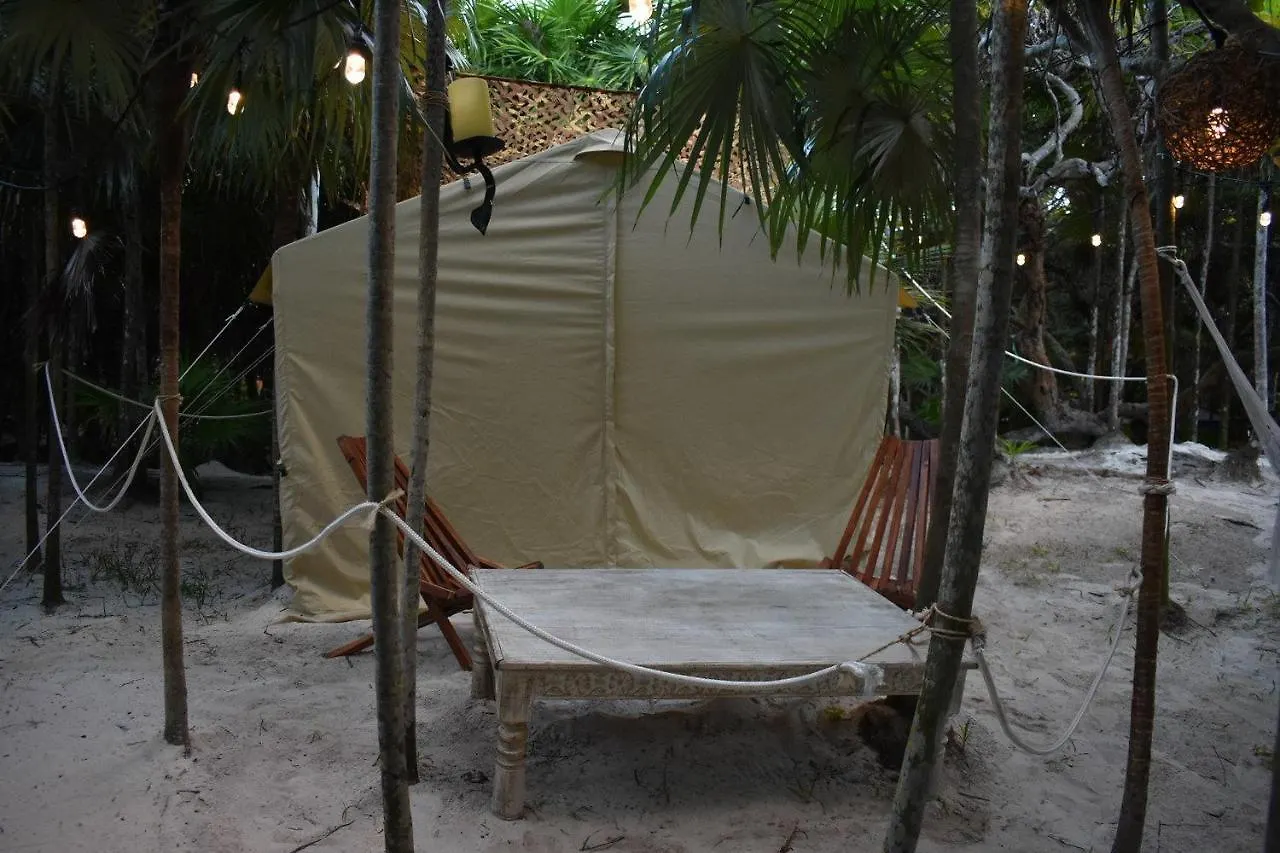 Uma Tulum Oceanfront Hotel